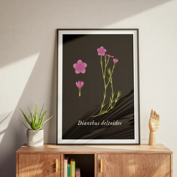 Plakat z goździkiem na czarnym tle w drewnianej ramie, na komodzie